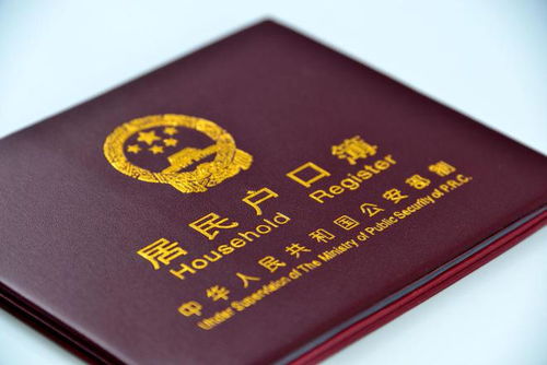 美女博士被婆婆割喉,現場慘不忍睹,婆婆殺人動機令人氣憤